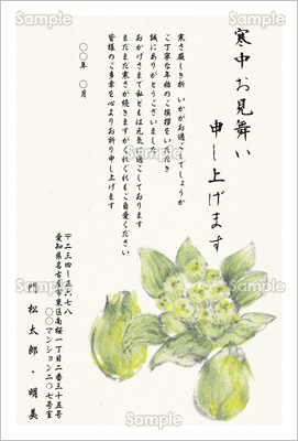 寒中見舞い-フキノトウ